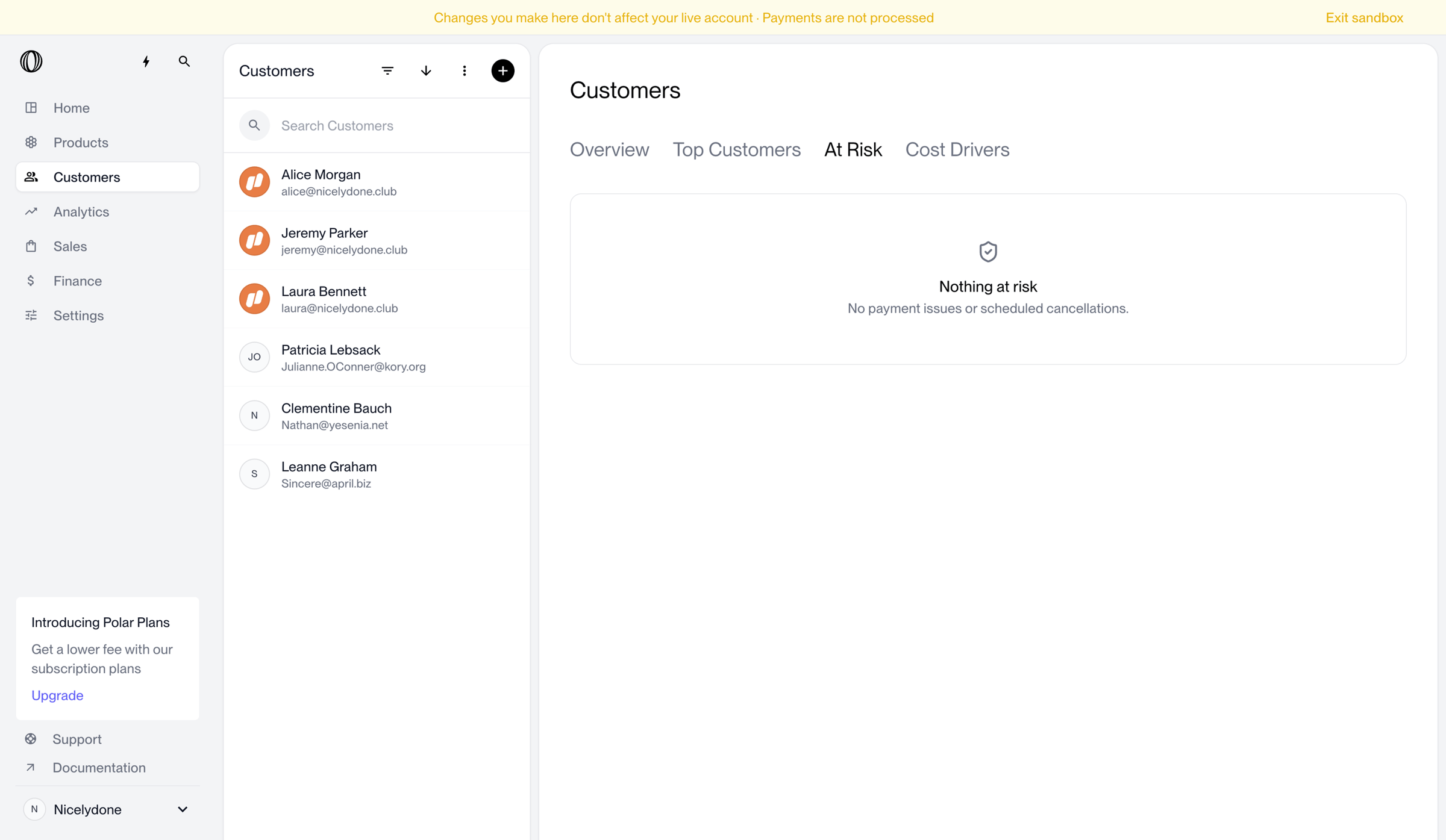 Polar - At Risk Customers | Nicelydone | Polar screen