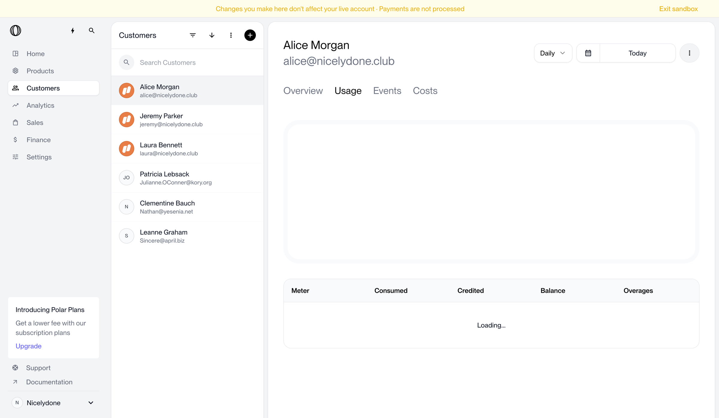 Polar - Alice Morgan · Usage | Nicelydone | Polar screen