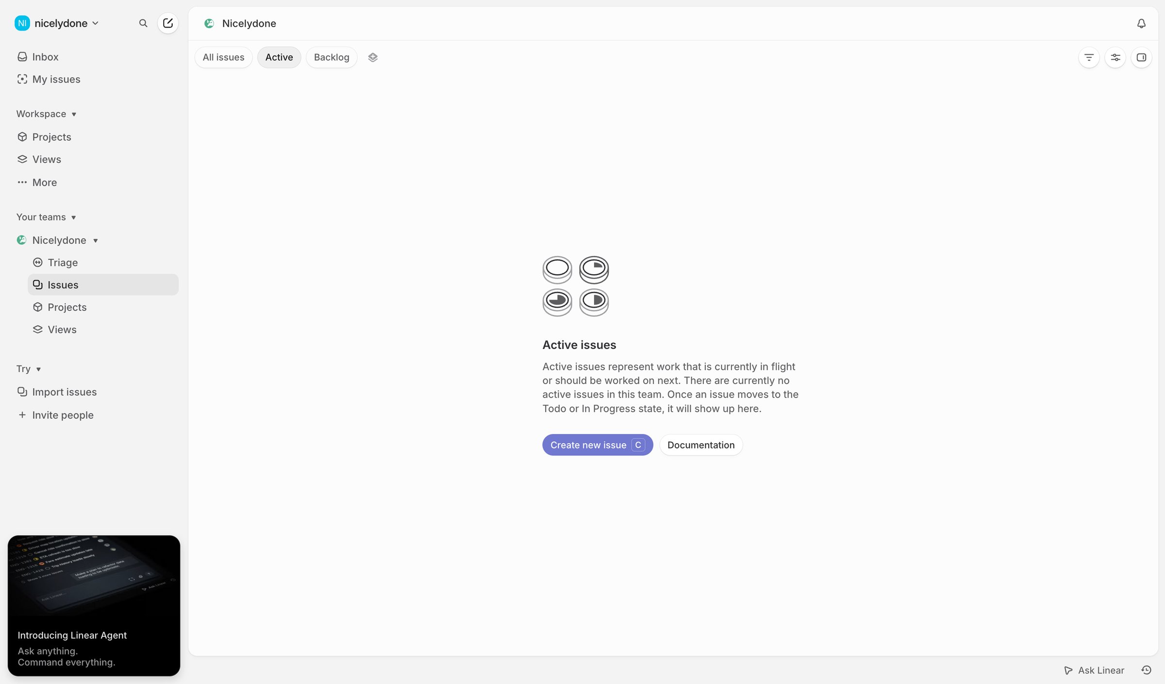 Nicelydone › Active issues from Linear