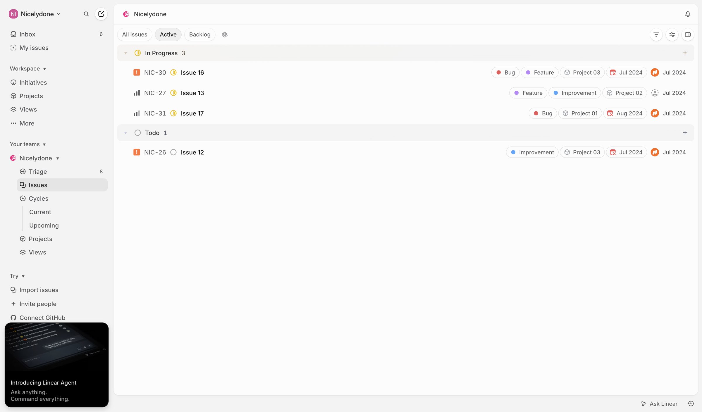 Linear - Nicelydone › Active issues screen