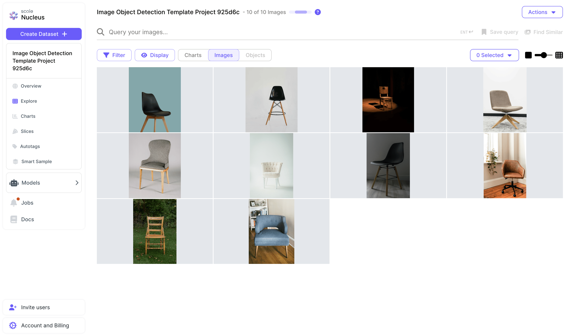 Scale - Image Object Detection Template Project 925d6c - Nucleus screen