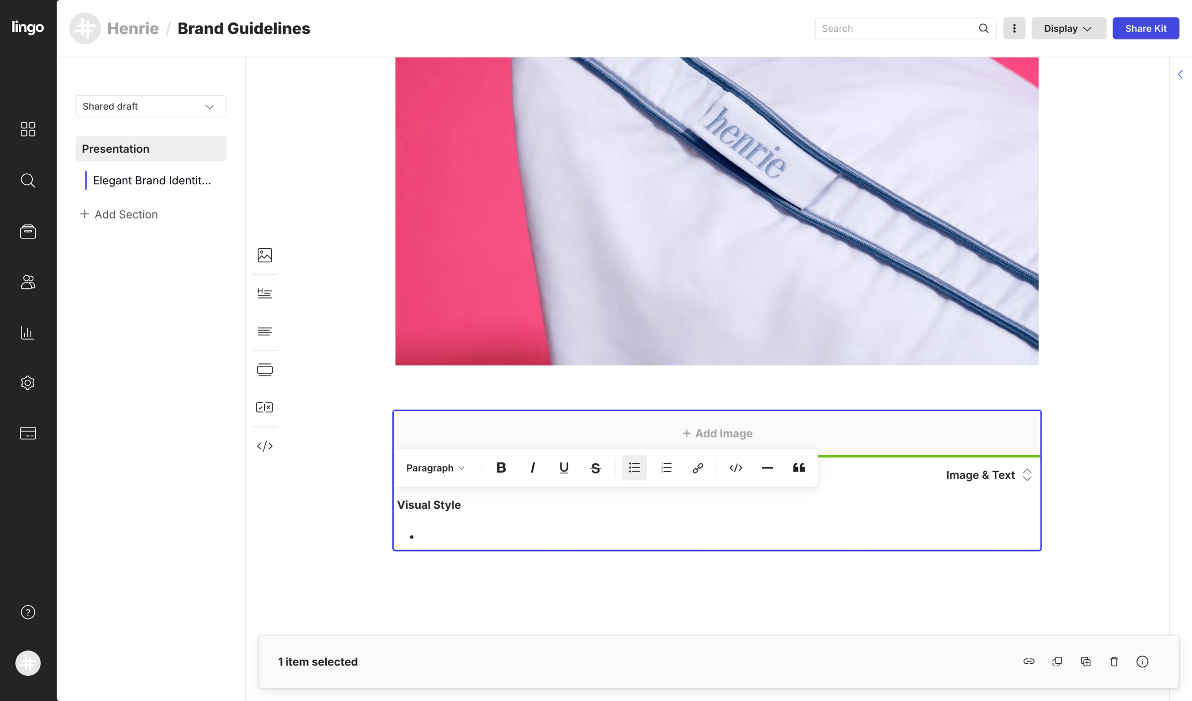 Lingo - Brand Guidelines: Presentation screen