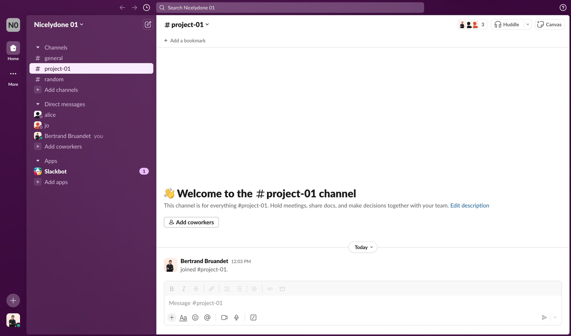 project-01 Channel - Nicelydone 01 - Slack from Slack