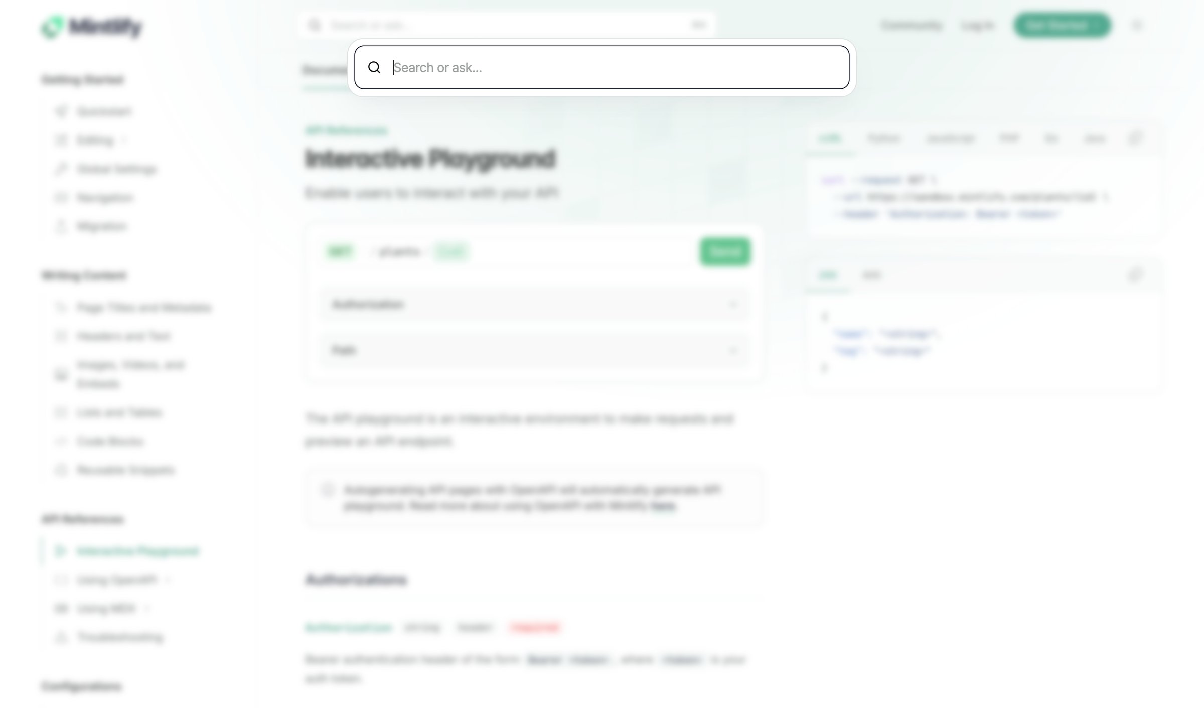 Mintlify - Interactive Playground - Mintlify screen