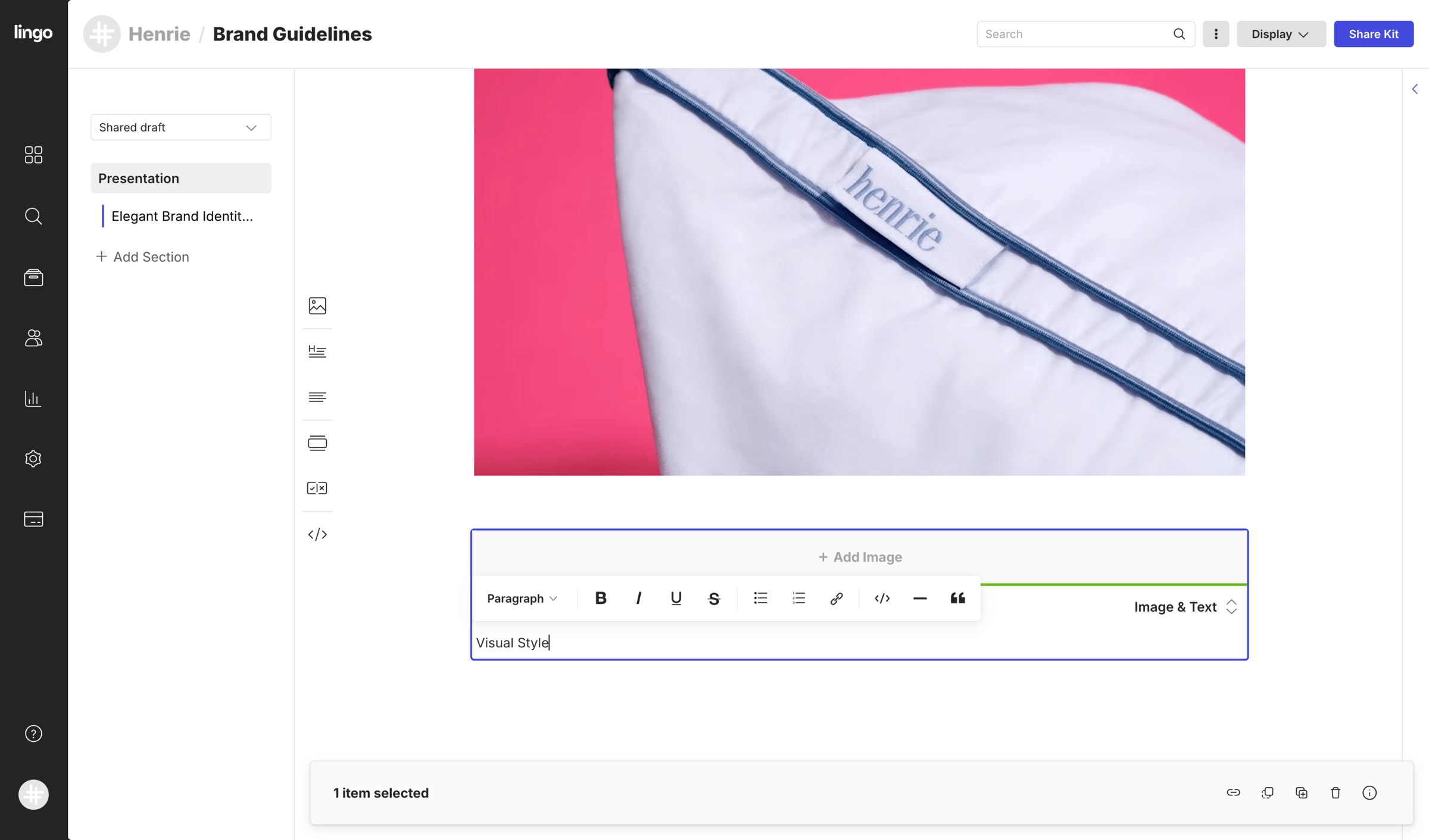 Lingo - Brand Guidelines: Presentation screen