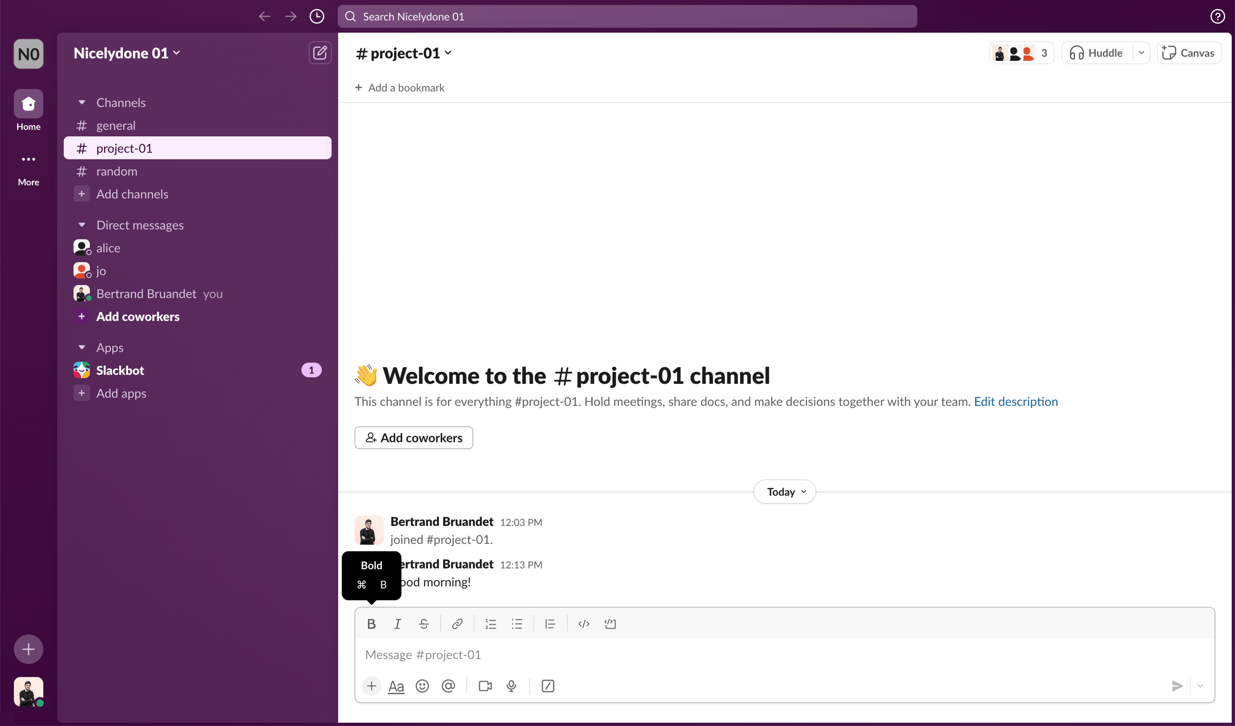 project-01 Channel - Nicelydone 01 - Slack from Slack