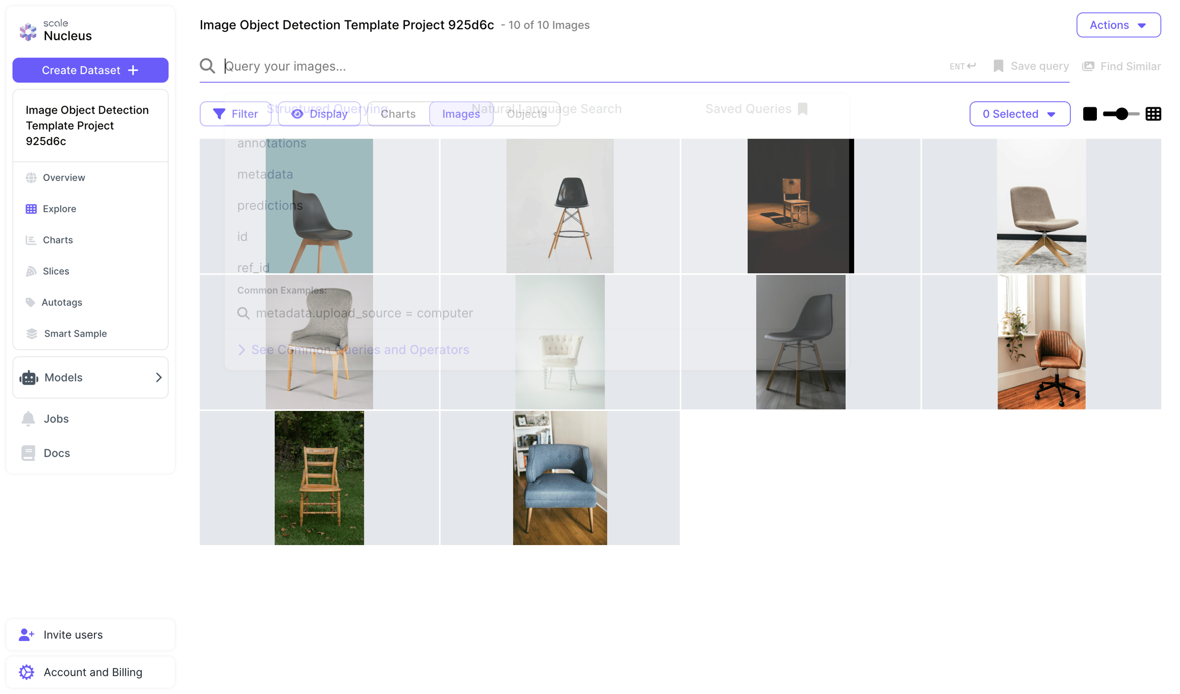 Scale - Image Object Detection Template Project 925d6c - Nucleus screen