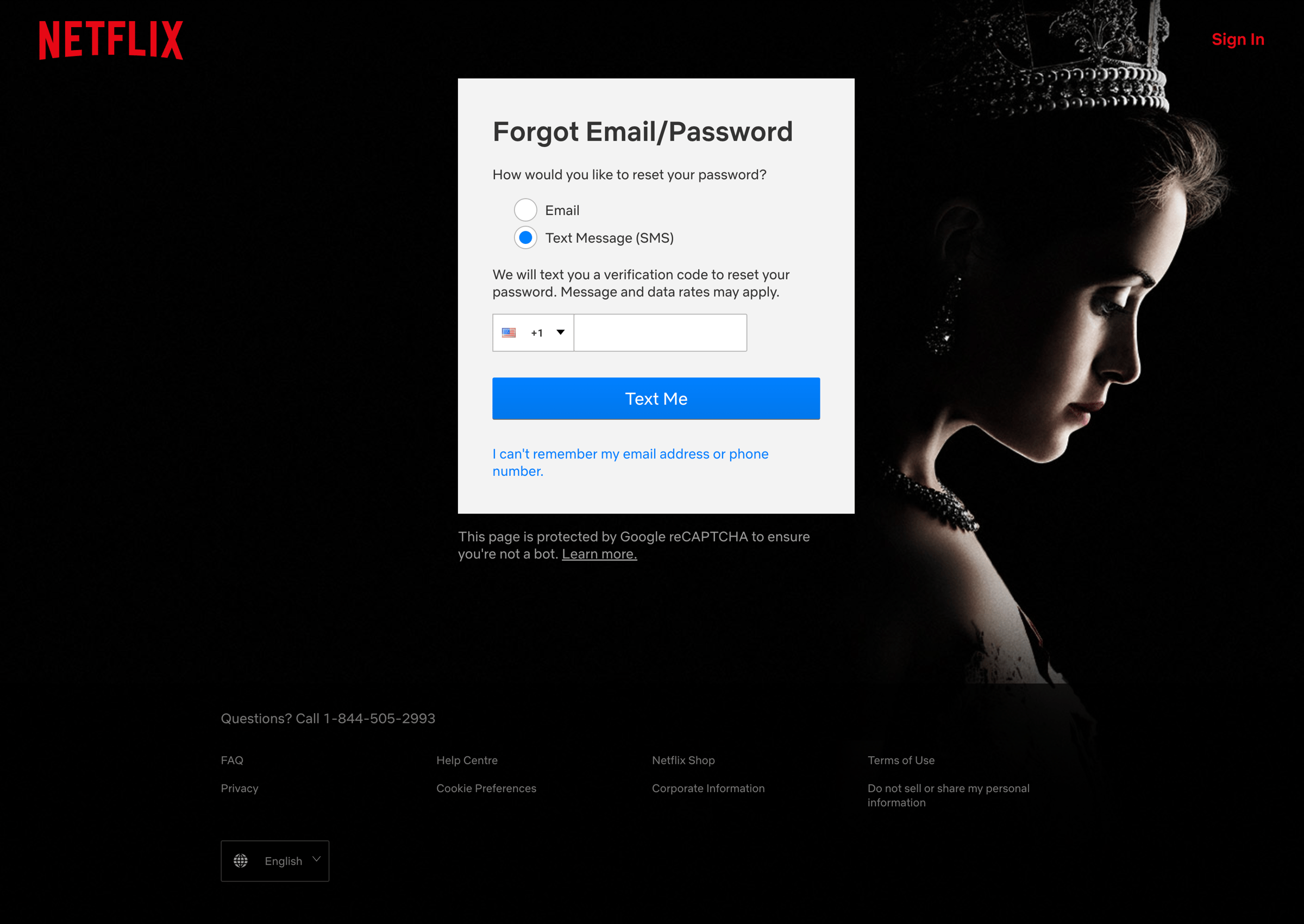 Netflix screen