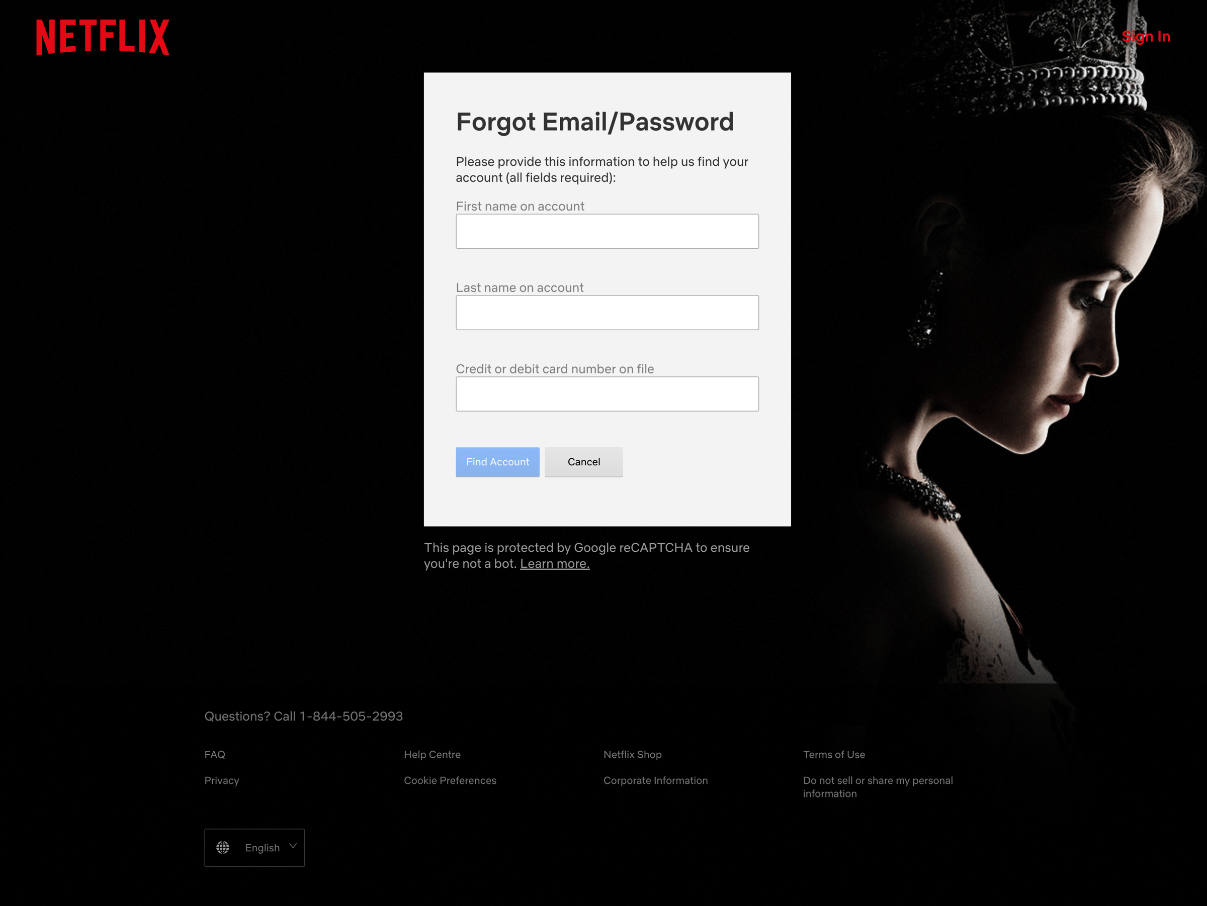 Netflix screen