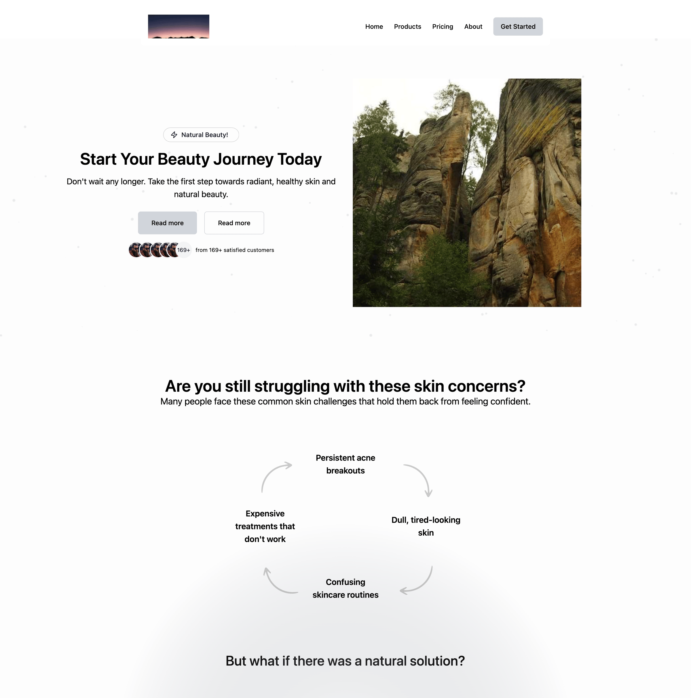Bird - Landing page screen