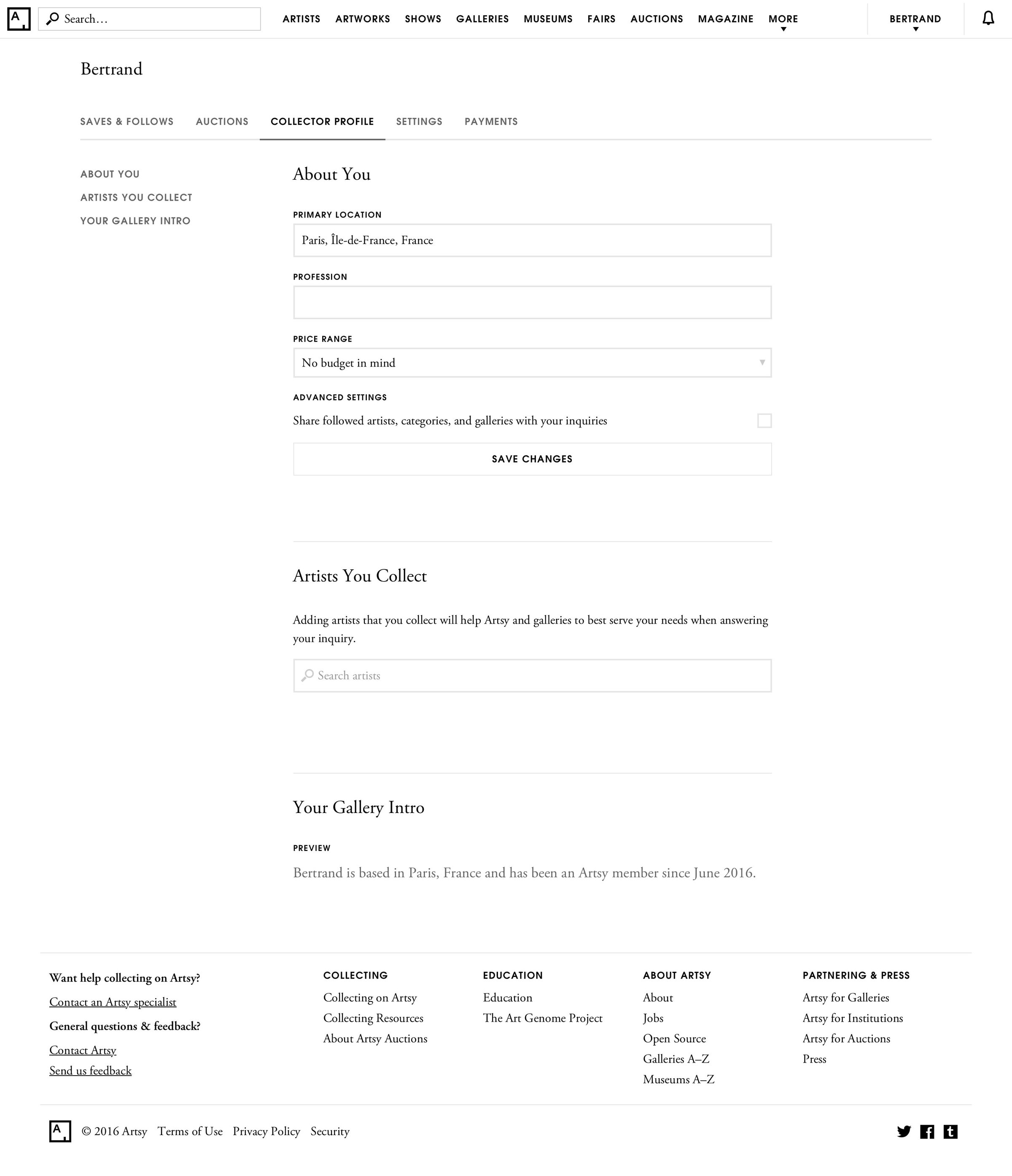 Artsy - Settings screen