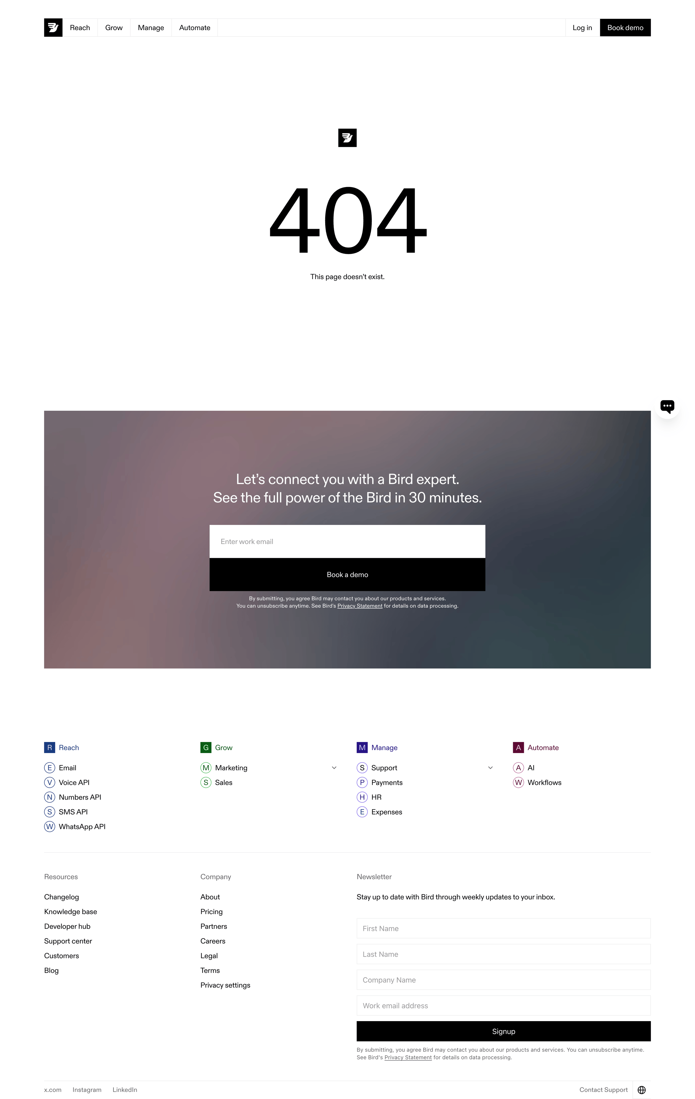 Bird - 404 - Page Not Found Bird screen