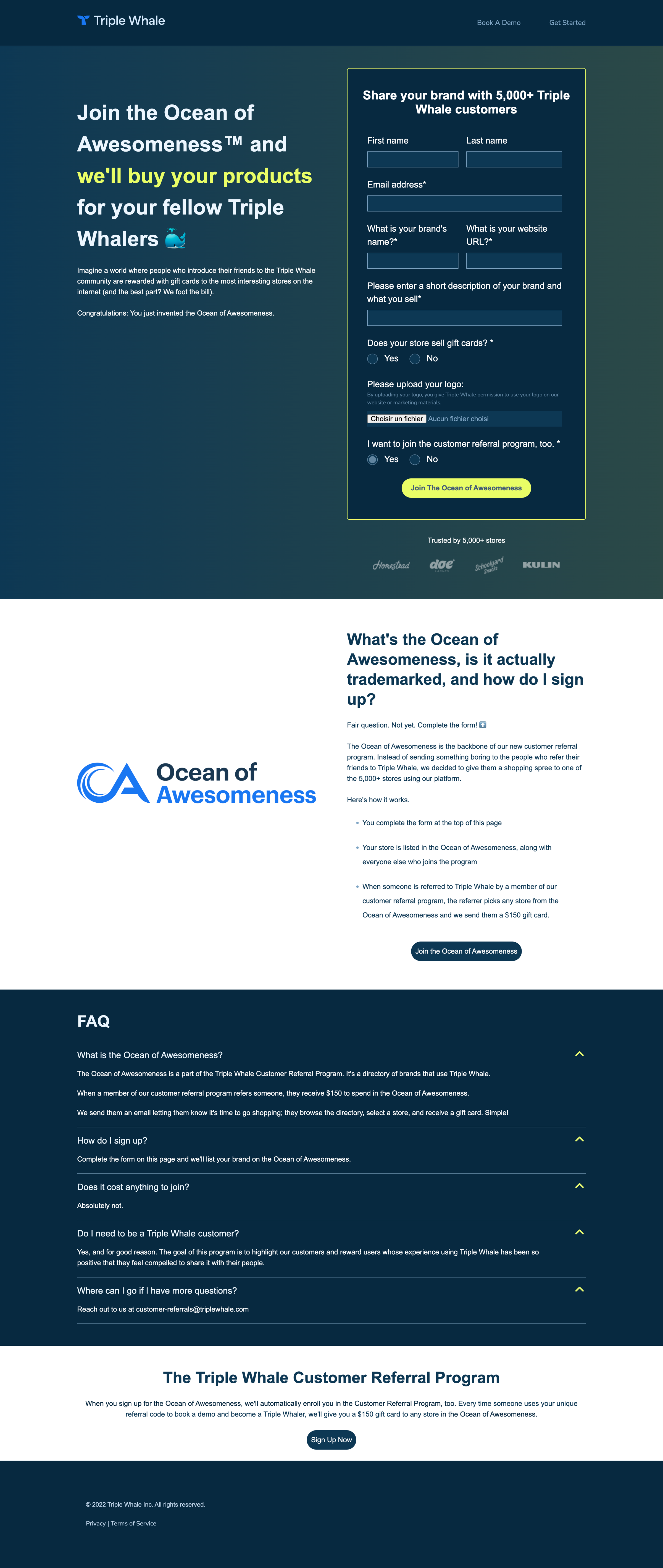 Triple Whale - Ocean of Awesomeness | Triple Whale screen