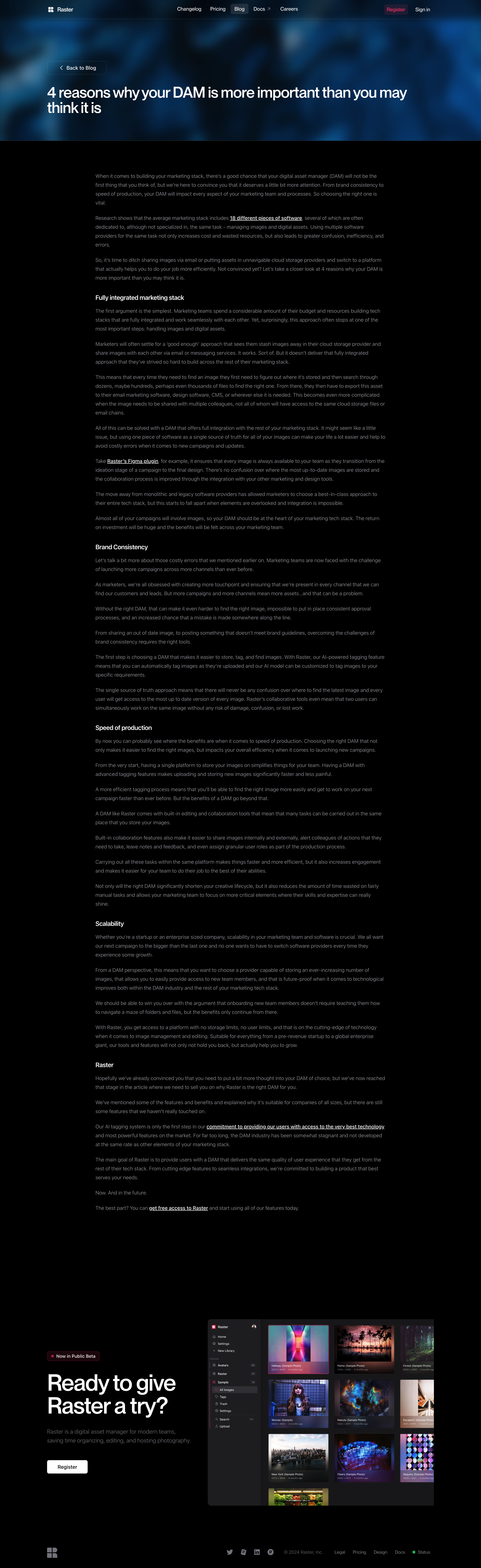 Raster - 4 reasons why your DAM is more important than you may think it is screen
