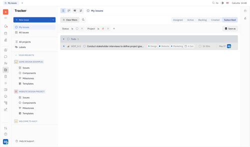 Huly
			           ux ui design