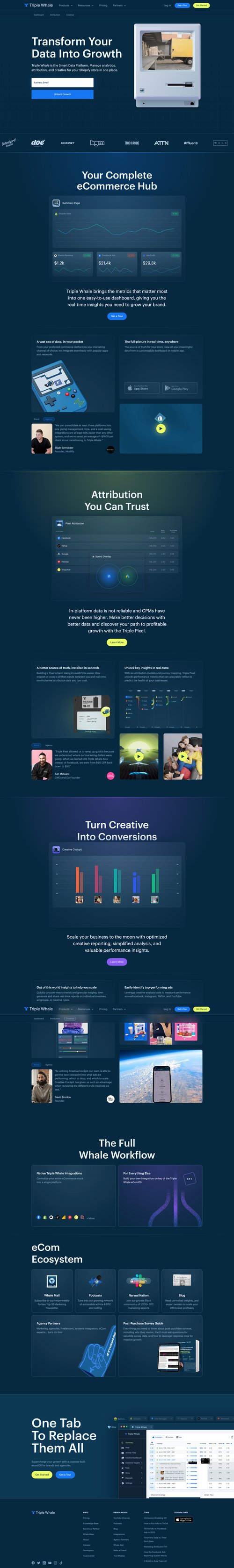 Triple Whale
			  ux ui design