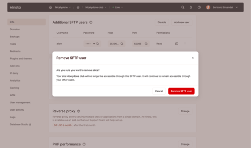 Kinsta screen example