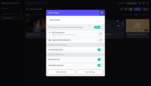 Frame.io
			           ux ui design