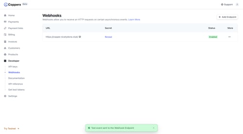 Copperx
			          ux ui design