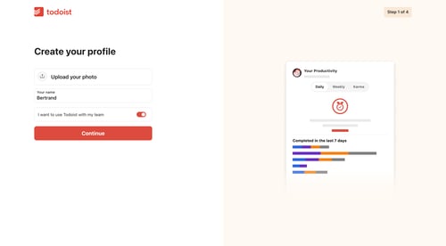 Todoist
				profile page example
