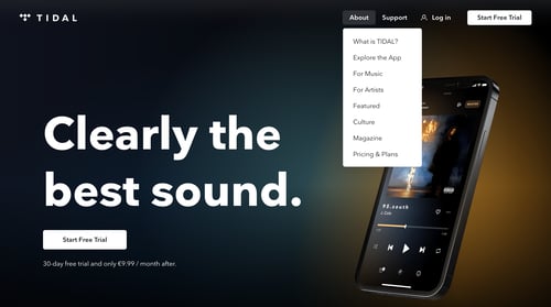 Tidal
			     ux ui design