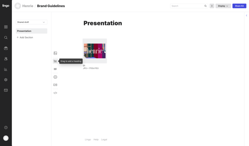 Lingo
			       ux ui design