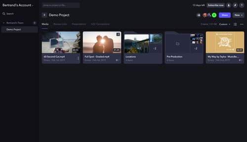 Frame.io
			                ux ui design