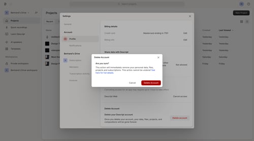 Descript
			             ux ui design