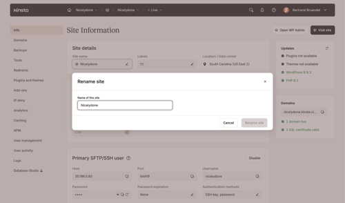 Kinsta screen example