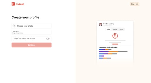 Todoist
				profile page example