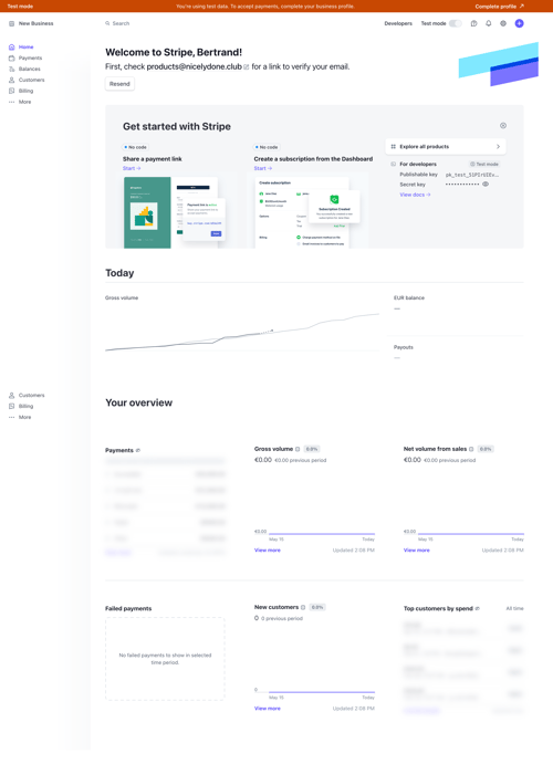 Stripe
				home page example