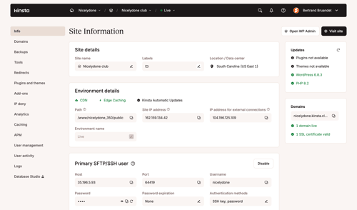 Kinsta screen example