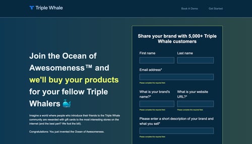 Triple Whale
				form page example