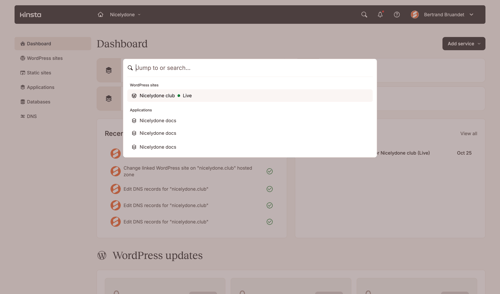 Kinsta screen example