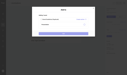 Lingo
			   ux ui design