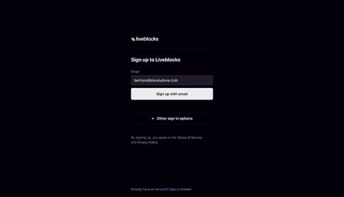 Liveblocks
				signin page example