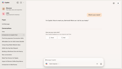 Copilot
			        ux ui design