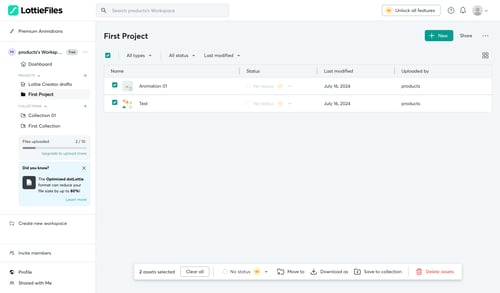 Lottie
			             ux ui design