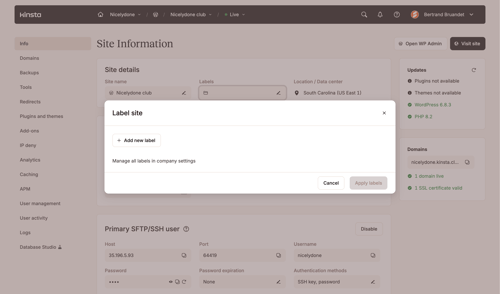 Kinsta screen example