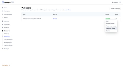 Copperx
			         ux ui design