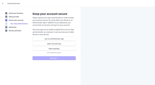 Stripe
			           ux ui design