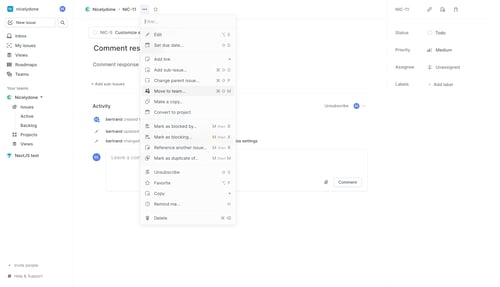 Linear initiating issue modification screen example
