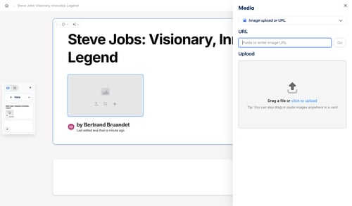 Gamma screen example