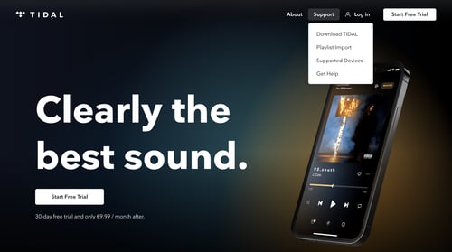 Tidal
			     ux ui design