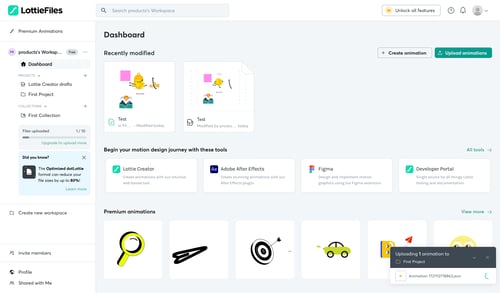 Lottie
			     ux ui design