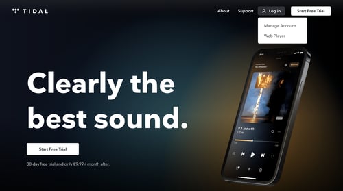 Tidal
			      ux ui design