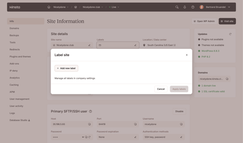 Kinsta screen example