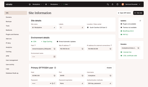 Kinsta screen example