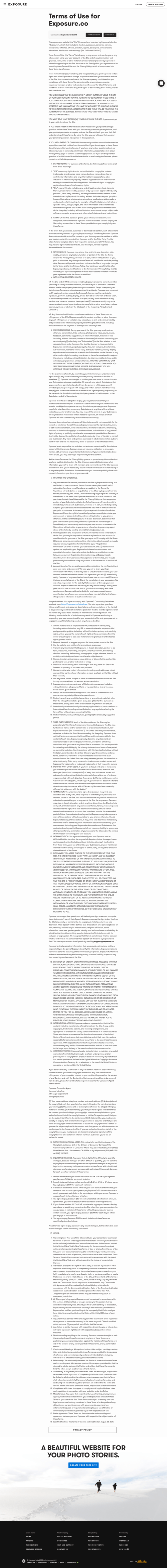 Exposure
				terms & conditions page example