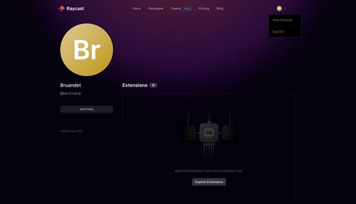 Raycast
				profile page example